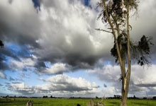 [NBA]唐斯火力全开 弧顶三分追近比分.